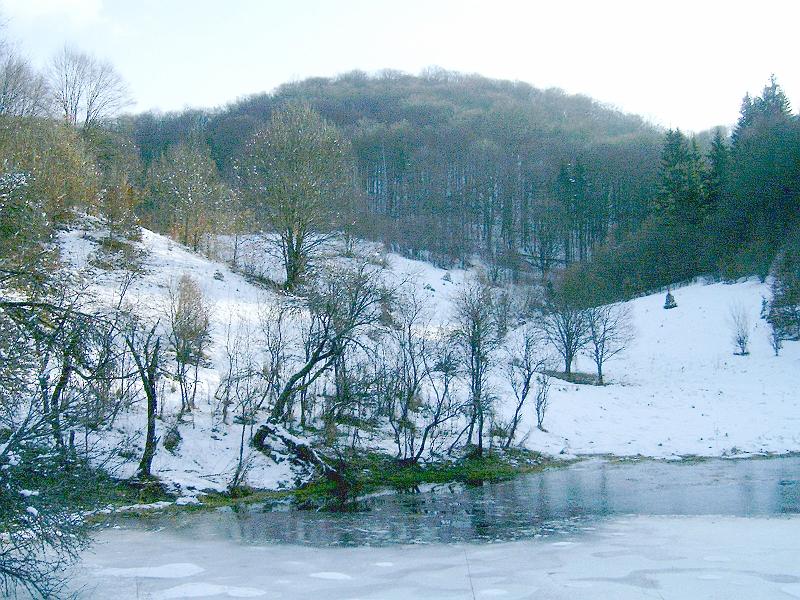 20110122 045.jpg